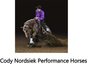 Doug Bogart Reining Horses